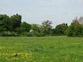 2014-0504-1150_Morden_Park_14C